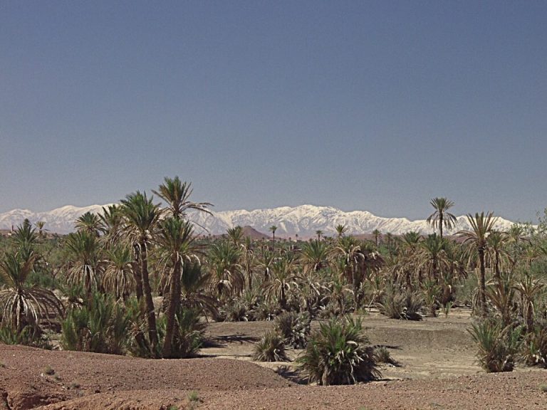 Wetter Marrakesch – Klimatabelle und beste Reisezeit