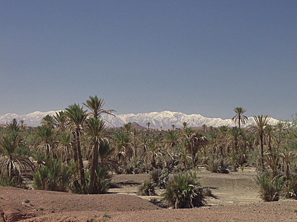 Wetter Marrakesch – Klimatabelle und beste Reisezeit