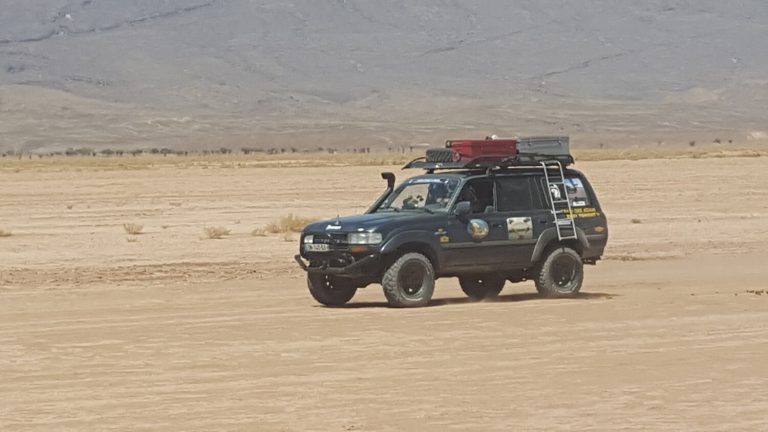 Aktivitäten in Marrakesch